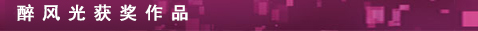 醉风光获奖作品